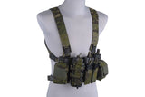 D3 Universal Chest Rig with 223 / 308 pouches