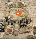 D3 Universal Chest Rig with 223 / 308 pouches